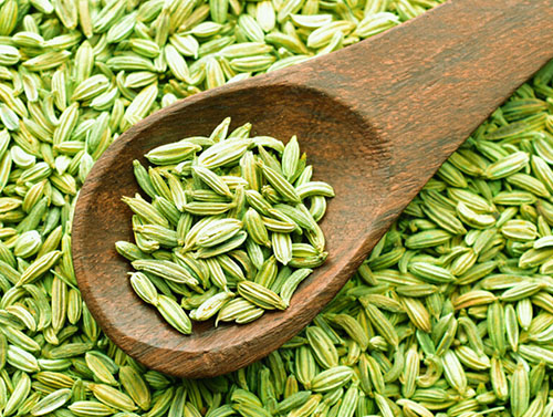 Fennel Seeds