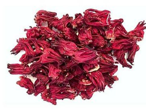 Hibiscus Flower 